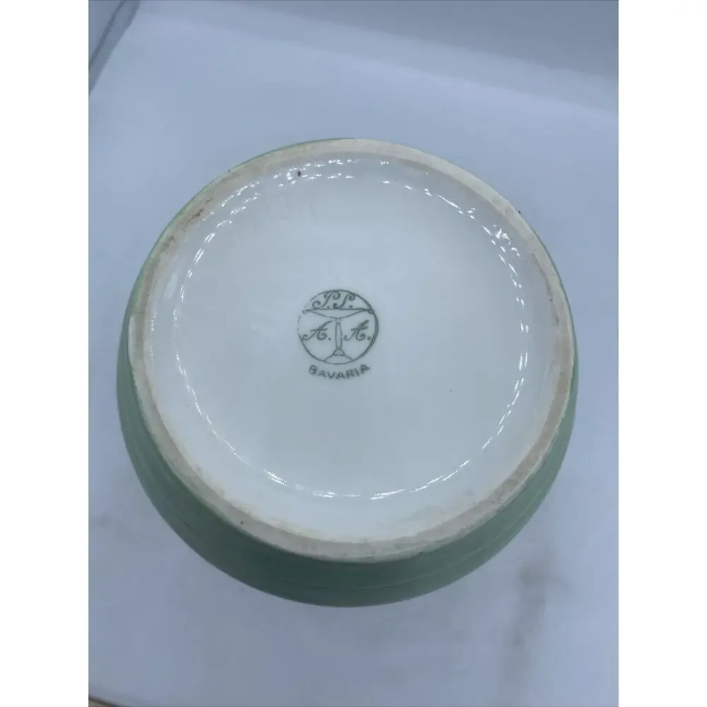 Antique Bavarian Schonwald AG Hand Painted porcelain Vase. Daisy Motif-Signed